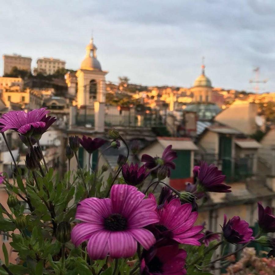 Il Geco Hotell Genua Exteriör bild